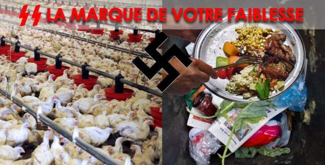 Gaspillage et abattage industriel.