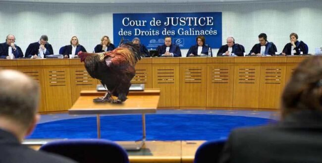 Plaintes insolites.