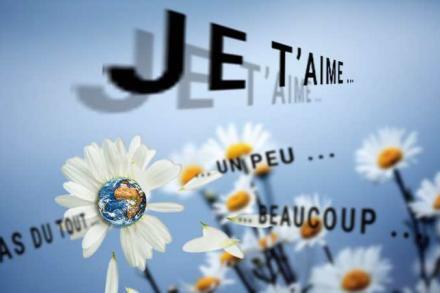 Les Ecolos m’emmerdent.