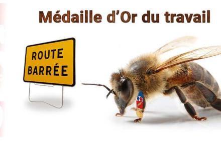 Abeille mon amie.