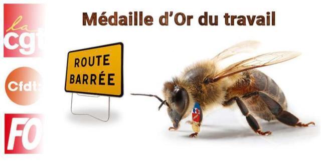 Abeille mon amie.