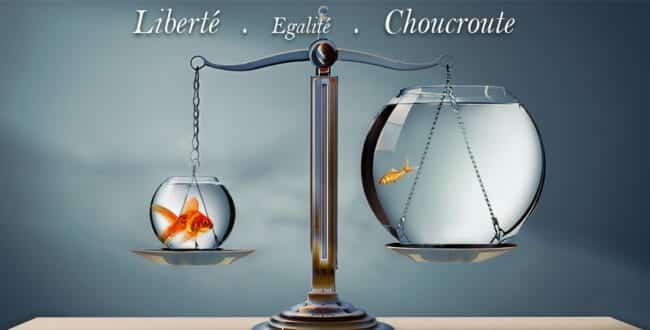 Une Justice complaisante avec le Fiché S.